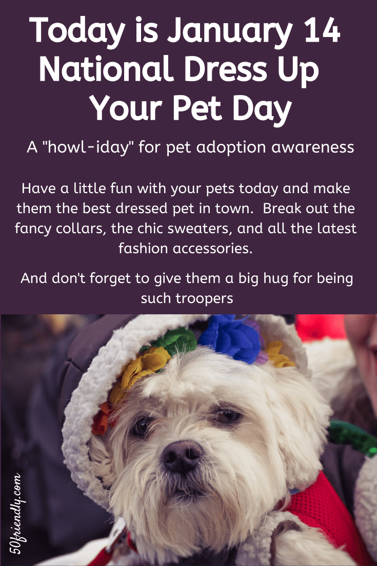 Here's Some Serotonin: National Dress Your Pet Day