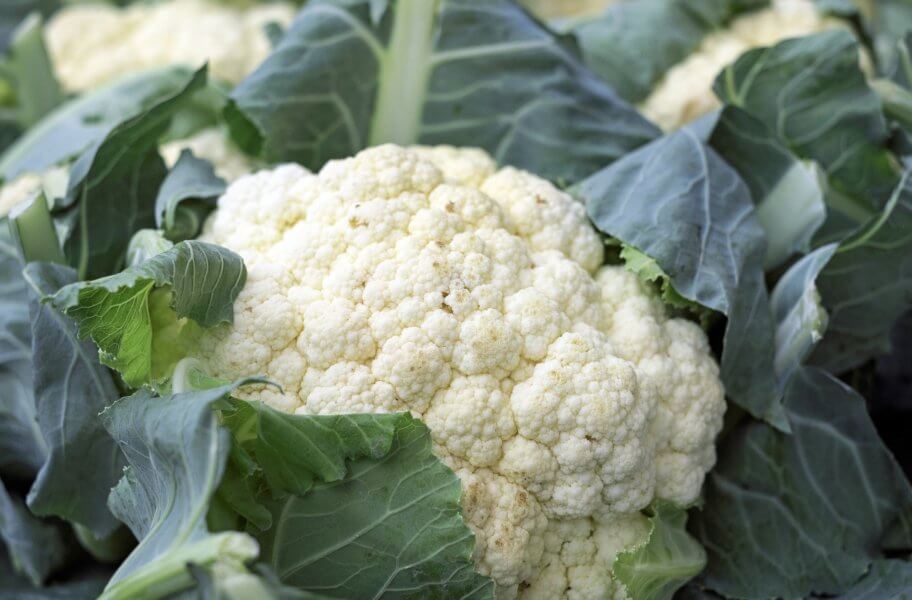 cauliflower - greatest vegetable