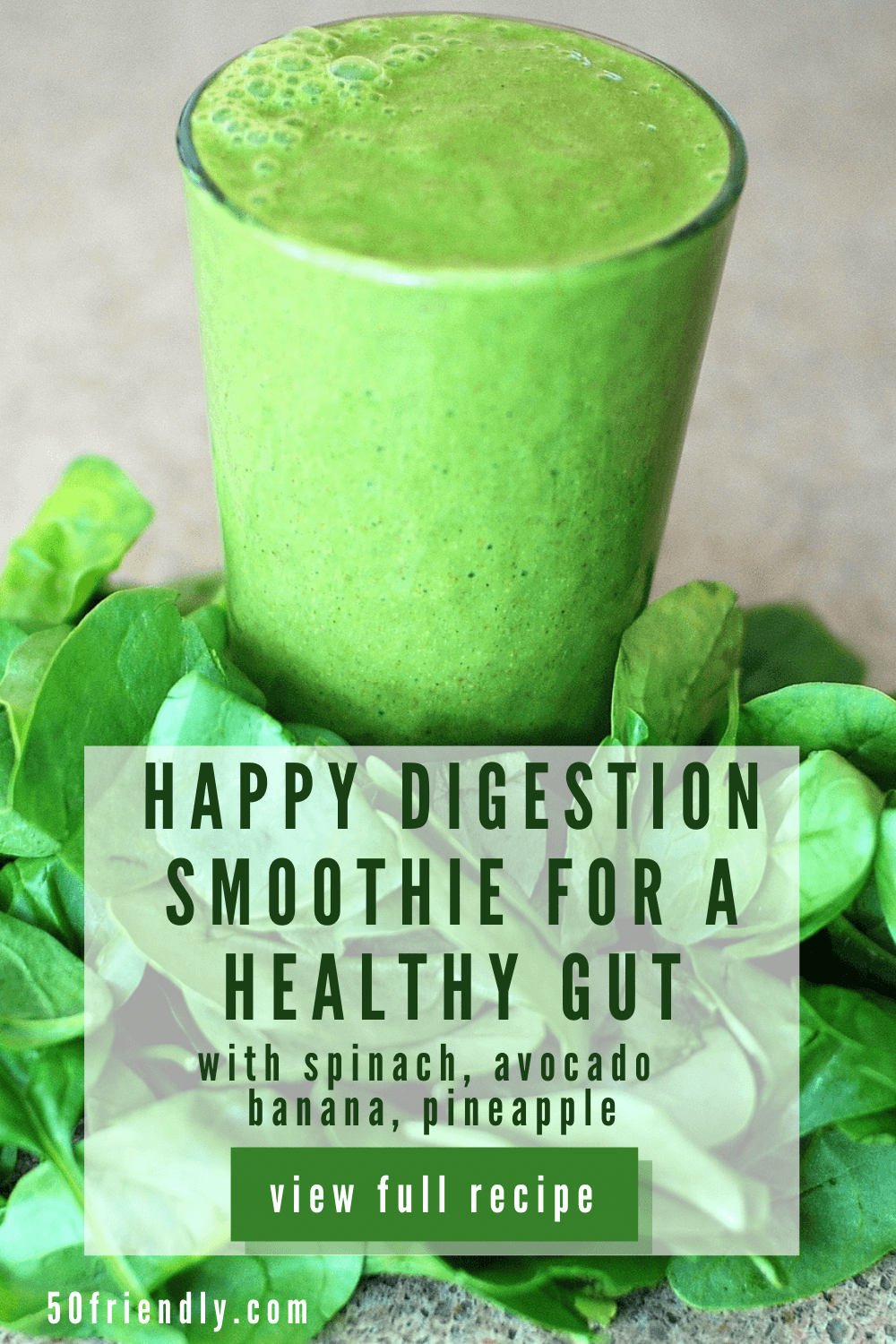 Happy Digestion Smoothie For A Healthy Gut 50 Friendly 3835