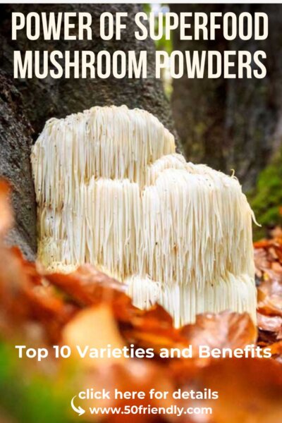 power of superfood mushroom powders